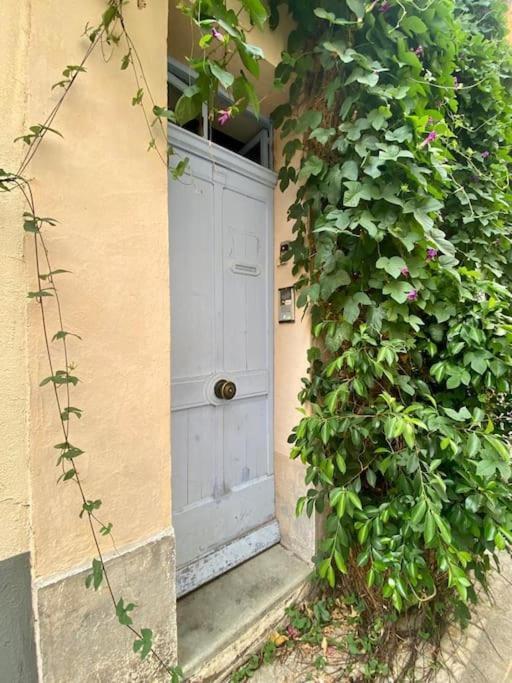 Click! Casa Lamartine Fabulous Ideal Location Walk To All!!! Cassis Ngoại thất bức ảnh